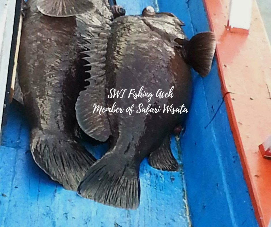 Weh Island & Rondo Island Fishing Tour Package 5 Days 4 Nights