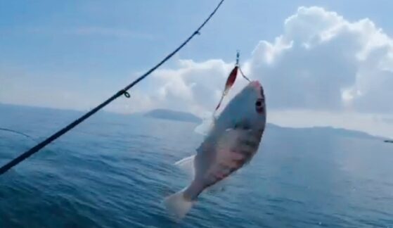 fishing in pangkor