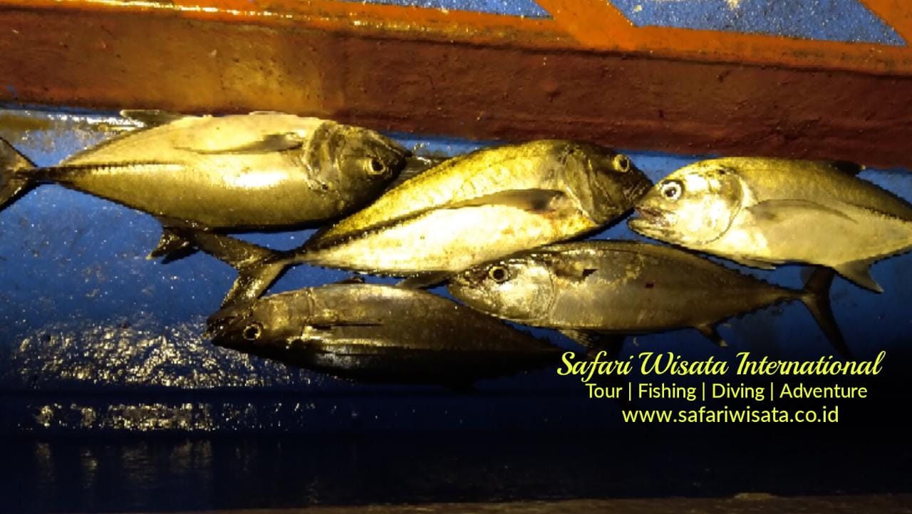 indonesia fishing techniques