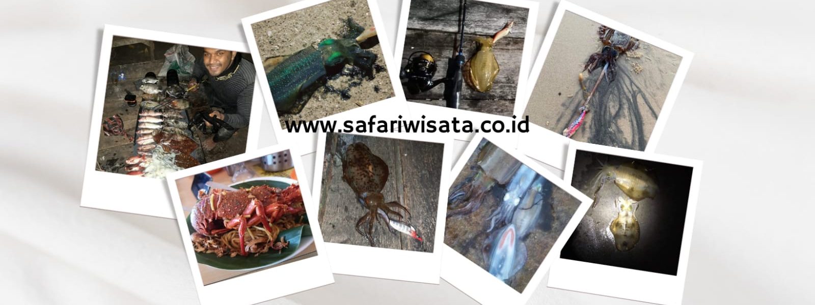 squid fishing charter