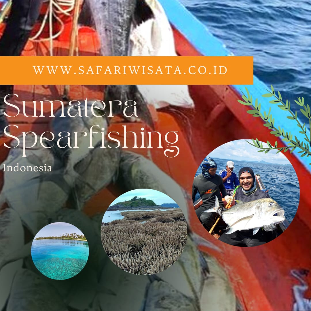 spearfishing in sumatra